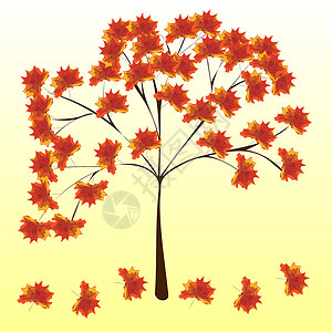 秋叶林林树秋叶树 自然背景设计图片