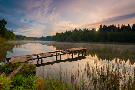 灯心草美丽的清晨风景 湖边有雾背景