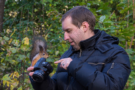 摄影师灌木丛小路叶子节目兴趣松鼠背景图片