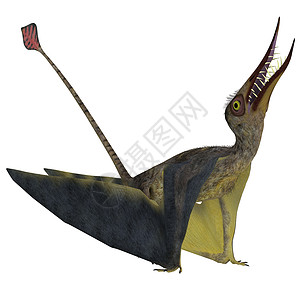 恐龙蜥蜴侏罗纪食肉翅膀翼龙飞行灭绝爪子牙齿动物高清图片