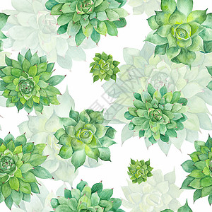 白色背景的水彩色抽水量模式电话厨房花园植物印刷沙漠艺术纺织品风格绿色背景图片