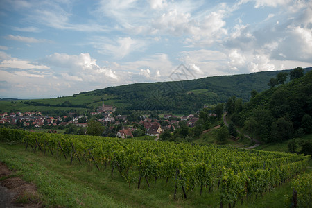 劳斯莱Alsace 风景和震动场远足葡萄园酒路旅游假期旅行背景