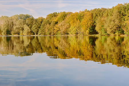 湖边的枯树反射支撑叶子植物天空树干森林多叶背景图片