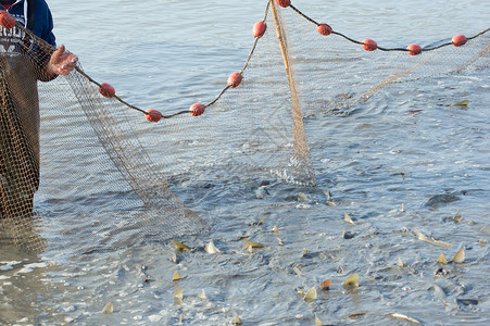 结网在池塘里钓鱼水平渔网运输淡水漂浮物栖息拖网软木食物渔夫背景
