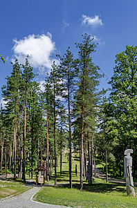 镇景点公园的绳桥村庄针叶树蓝色网状树木绿色雕塑结构天空空地背景图片