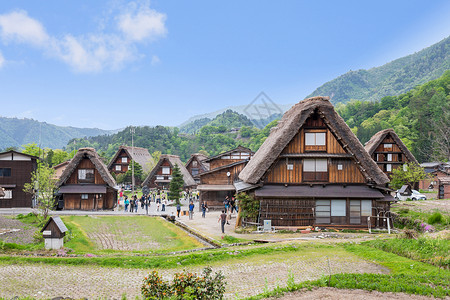 盖屋顶人历史悠久的日本村春天的白川乡 日本的旅游地标花园建筑学历史性建筑稻田住宅全景房子森林村庄背景