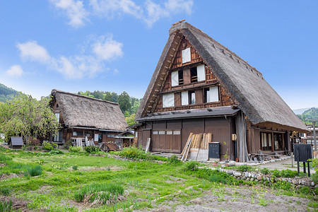 岐阜县历史悠久的日本村春天的白川乡 日本的旅游地标历史性森林住宅村庄建筑学橙子花园稻田建筑房子背景