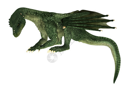 幻想龙动物绿色白色神话怪物爬虫童话生物插图危险背景图片