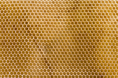 蜂窝细胞蜂蜜梳子蜂蜡背景图片