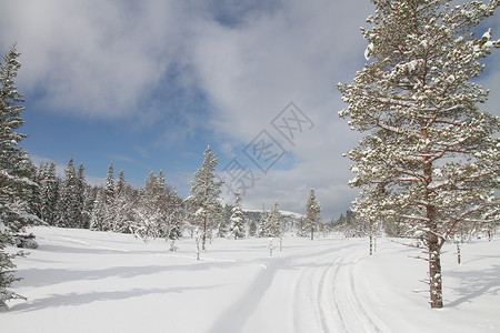 小型和轻型条件小径滑雪路径高清图片