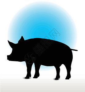 猪轮光影尖叫者插图草图猪肉冒充白色姿势野猪阴影背景图片