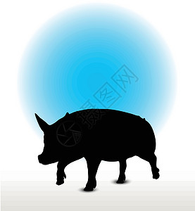 散养黑猪猪轮光影草图步行白色阴影步伐猪肉插图冒充小跑野猪插画