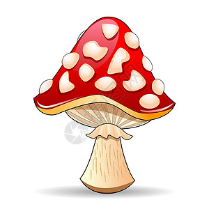 小鸡蘑菇蘑菇毒菌卡通片正方形植物群插图森林生物学小鸡生物菌盖插画