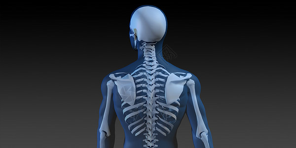 骨骼运动人体和骨骼的医学插图运动解剖学骨头椎骨蓝色技术脊柱渲染手臂科学背景