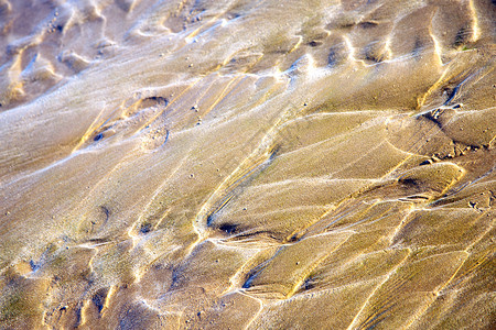 棕色褐色湿沙沙滩图片