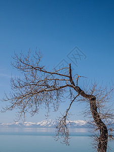 清水呼应雪山春天户外的高清图片