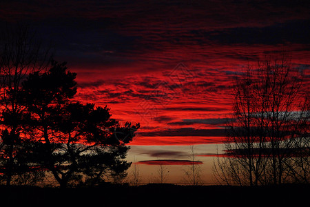 红日落场地红色树木天空背景图片