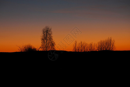 天空着火日落橙色夕阳风景树木红色背景图片
