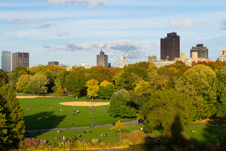 秋季的大草坪城堡落叶树叶公园红色叶子全景赭石特剧院绿叶背景图片