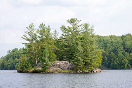 湖中岛屿钓鱼松树寂寞野生动物树木背景图片