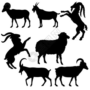 黄羊年  山羊年新年十二生肖财富农历图层插图木头背景图片