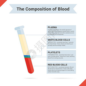 血液样本整个血液的构成成分插画