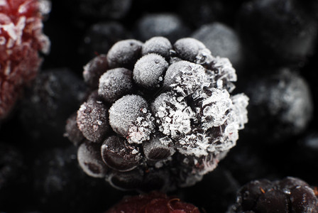 冷冻黑莓果工作准备水果浆果背景图片