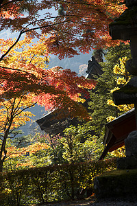 德川幕府的陵墓神道寺庙游客假期旅游日光旅行背景图片