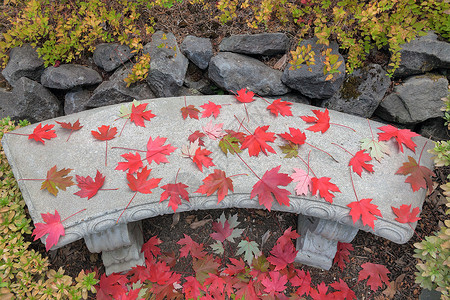 秋天长椅混凝土石座上的红梅叶背景