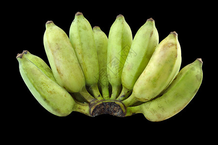 绿香蕉种植区隔绝黑色背景背景图片