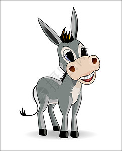 驴子哺乳动物卡通片插图农场快乐微笑灰色骡子背景图片
