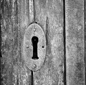 U型锁在意大利林和传统树木中的传统门 以及传统的T型螺栓指甲风格建筑学出口金属建筑装饰品古董锁孔背景