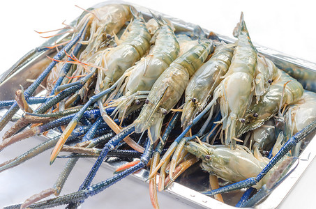 原始河虾淡水海鲜白色美食食物背景图片