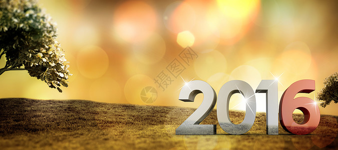 2016年图形的复合图像紫色绿色插图计算机新年场地阳光辉光绘图橙子背景图片