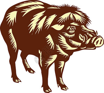 猪前尖菲律宾 沃蒂猪木匠插画