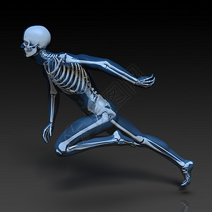 骨骼海报人体骨骼结构图蓝色生物学损害推介会插图海报身体技术小册子骨头背景