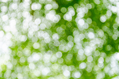 阳光明媚的抽象绿色自然背景森林植物光束叶子气泡桌面晴天草地太阳天空背景图片