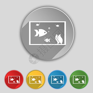 动物按钮素材水族馆 水里鱼的标志牌 在五个平板按钮上的符号背景