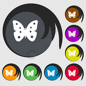 蝴蝶符号图标 昆虫符号 八色按钮上的符号背景图片