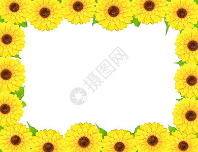 向日葵圆形边框由向日葵组成的矩形边框背景