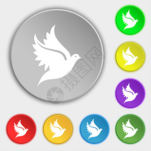 鸟图标鸽形图标符号 五个平板按钮上的符号背景