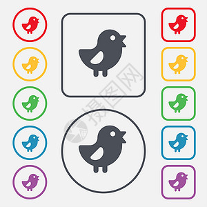 鸡 鸟图标符号 圆形上的符号和带边框的平方按钮背景