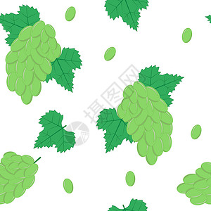 绿色藤蔓围绕白背景白葡萄白葡萄的无缝模式插画