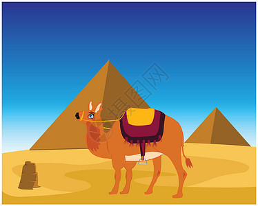 骆驼和金字塔动物纪念碑哺乳动物沙漠热带发掘石头数字狮身法老背景图片