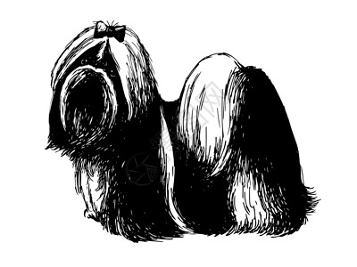 世子绘画小狗黑与白动物草图涂鸦手绘插图哺乳动物朋友背景图片