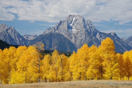 千吨秋季旅行全景公园蓝色树叶国家山峰反射天空风景背景图片