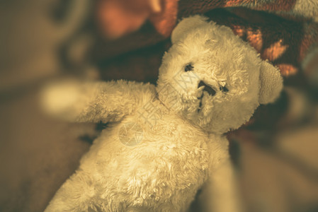泰迪熊动物玩具孩子孩子们水平毛绒童年毛皮乐趣娃娃背景图片
