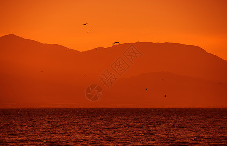 美国索尔顿海美国加利福尼亚州高清图片