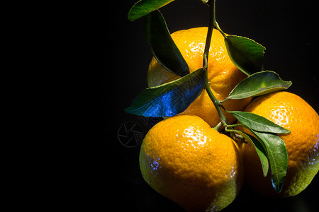 橘红色圆形食物水果橙子橘子黄色饮食皮肤背景图片