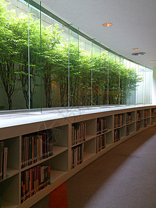 书树图书素材图书馆绿色建筑建筑学风格木头房间房子装饰背景